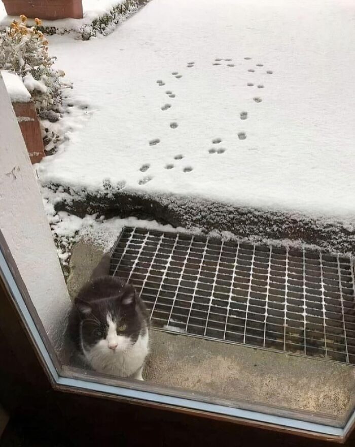 Wait, People Shared These Weirdly Awesome 'Hmmm' Pics?!