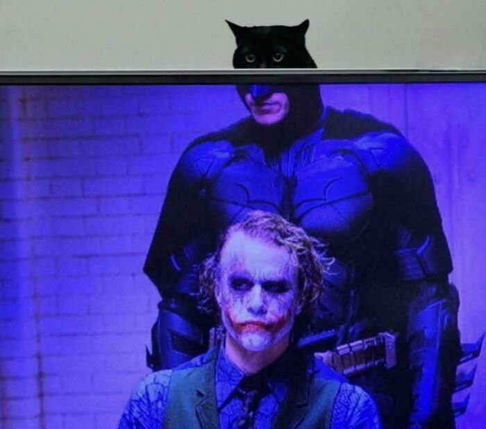 Wait, People Shared These Weirdly Awesome 'Hmmm' Pics?!