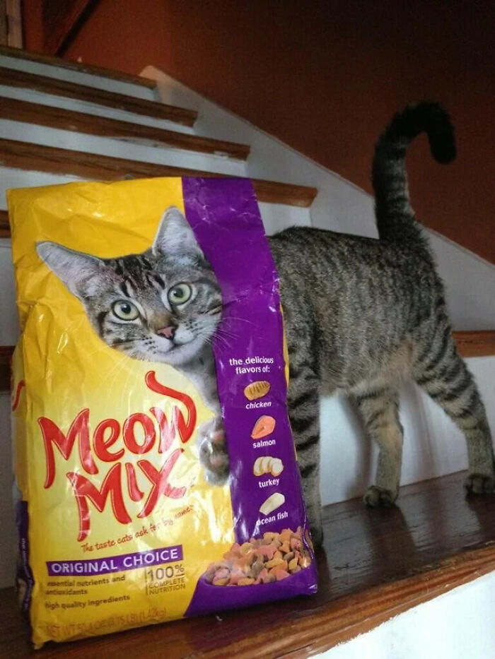 Wait, People Shared These Weirdly Awesome 'Hmmm' Pics?!