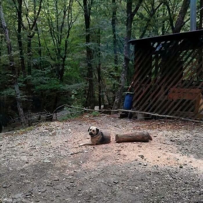 Wait, People Shared These Weirdly Awesome 'Hmmm' Pics?!