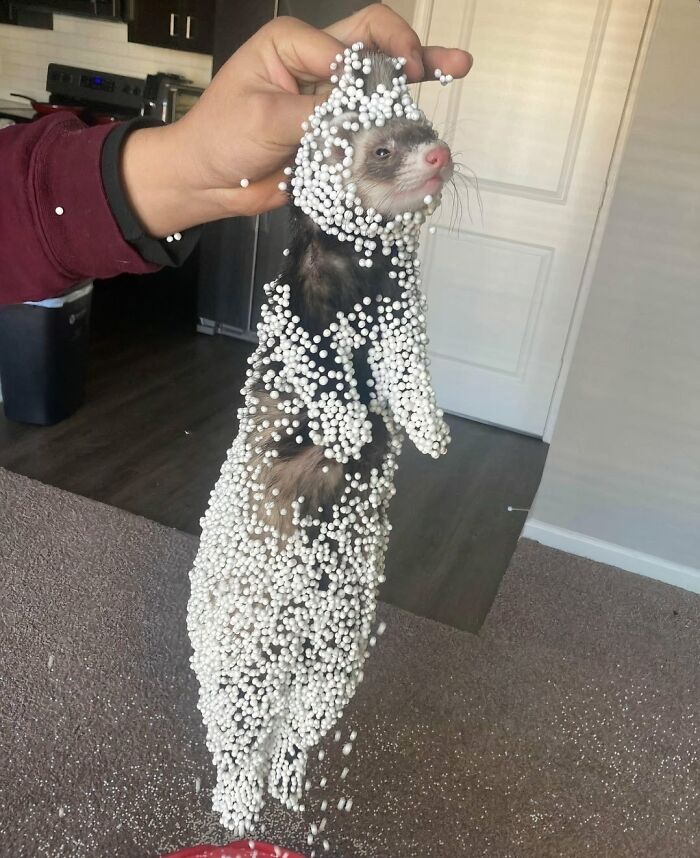Wait, People Shared These Weirdly Awesome 'Hmmm' Pics?!