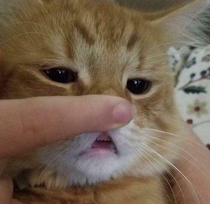 Wait, People Shared These Weirdly Awesome 'Hmmm' Pics?!