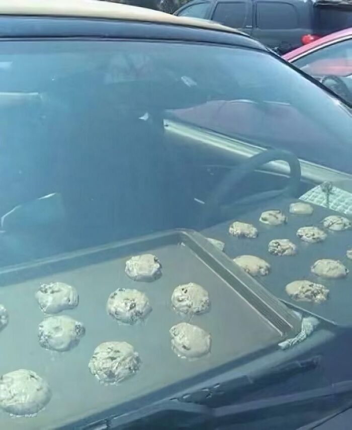 Wait, People Shared These Weirdly Awesome 'Hmmm' Pics?!