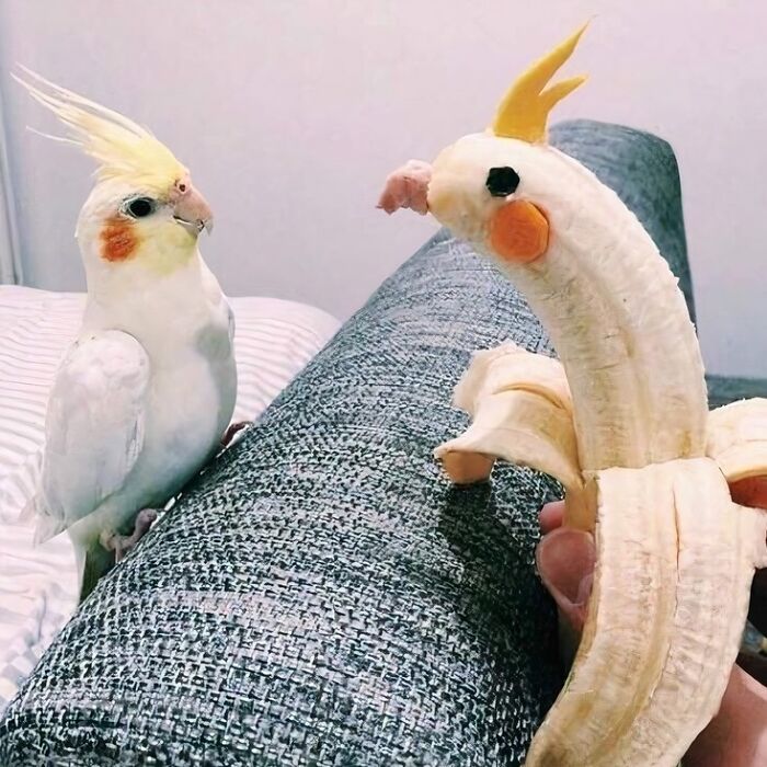 Wait, People Shared These Weirdly Awesome 'Hmmm' Pics?!