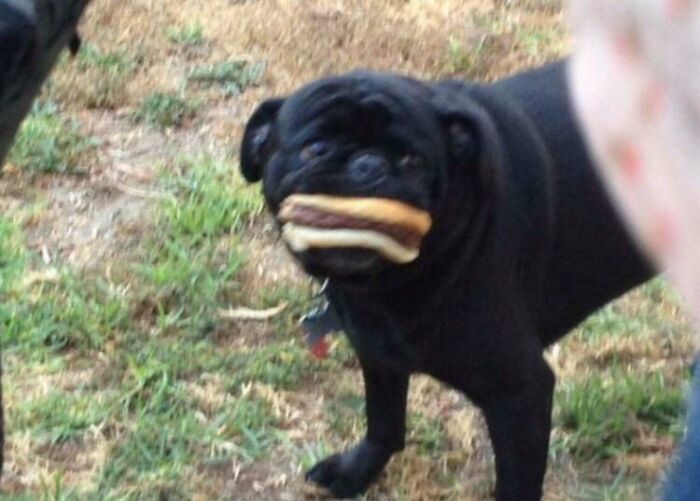 Wait, People Shared These Weirdly Awesome 'Hmmm' Pics?!