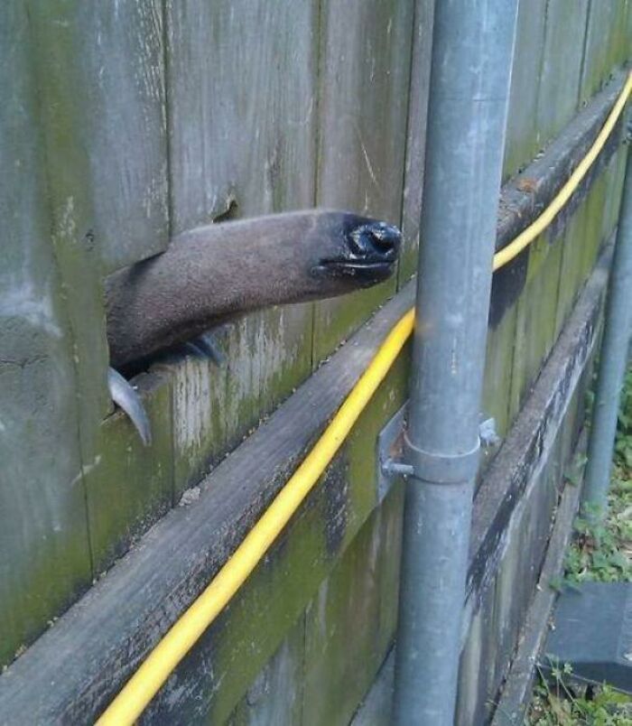 Wait, People Shared These Weirdly Awesome 'Hmmm' Pics?!