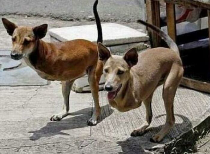Wait, People Shared These Weirdly Awesome 'Hmmm' Pics?!