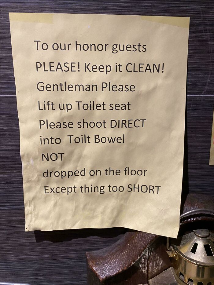 Toilet Instructions That Are Too Much