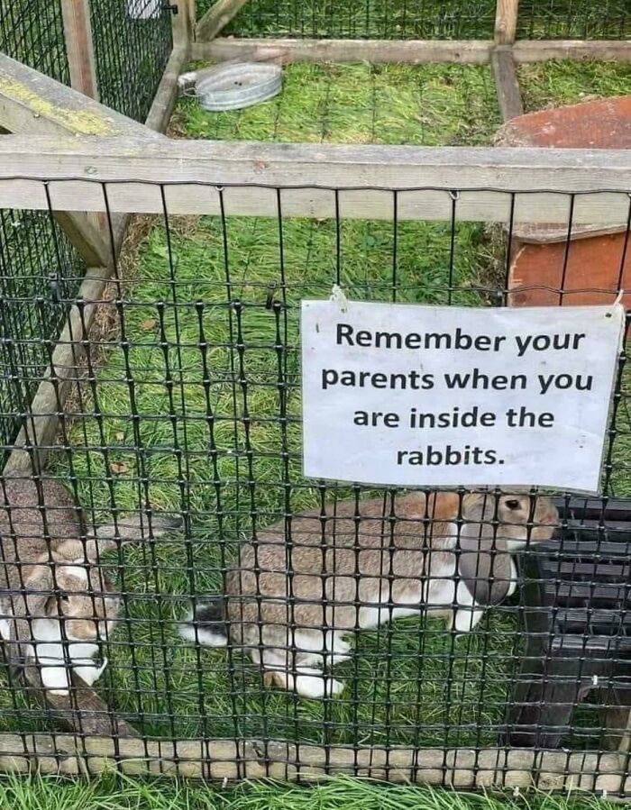 These Translation Fails Are Absolutely Hilarious and Confusing!