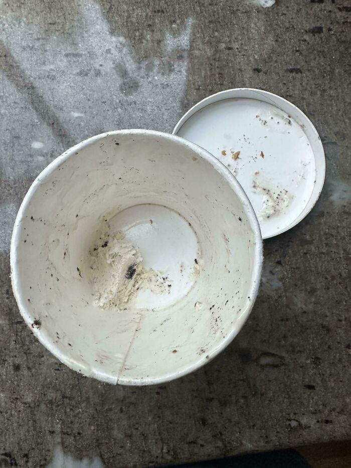 Went For Ice Cream, Came Back To This Tiny ‘Pick Me Up’