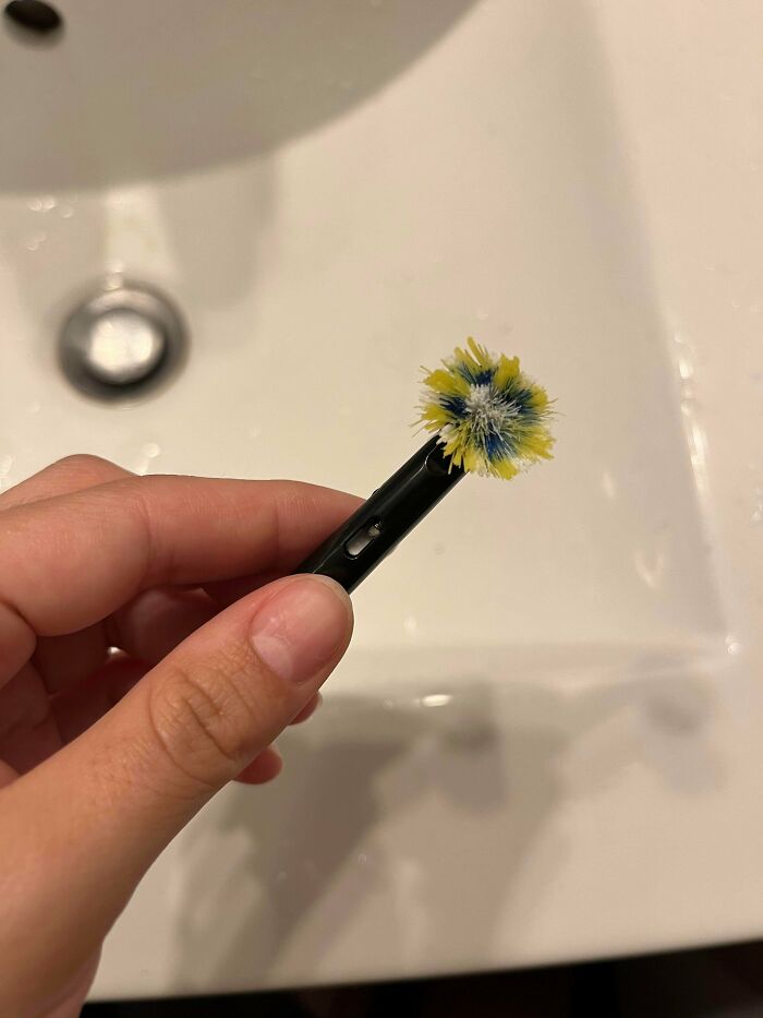 According To Him, Toothbrushes Don’t Need Changing Ever