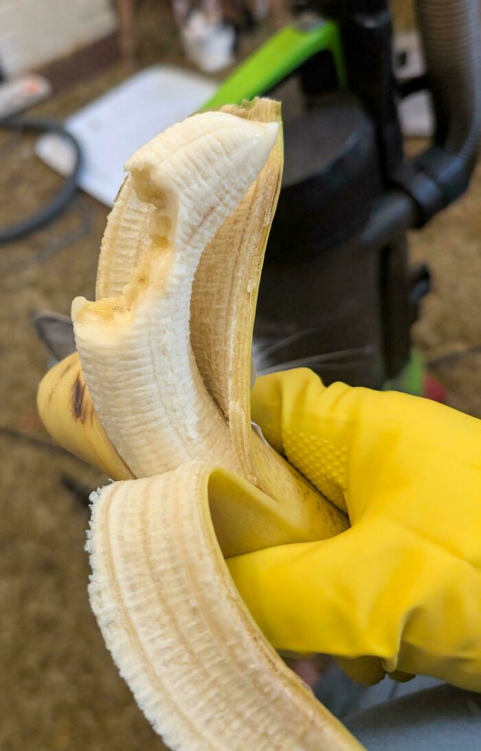 He Took A Bite, Didn’t Like It, And Gave Me The 'Wierd' Half