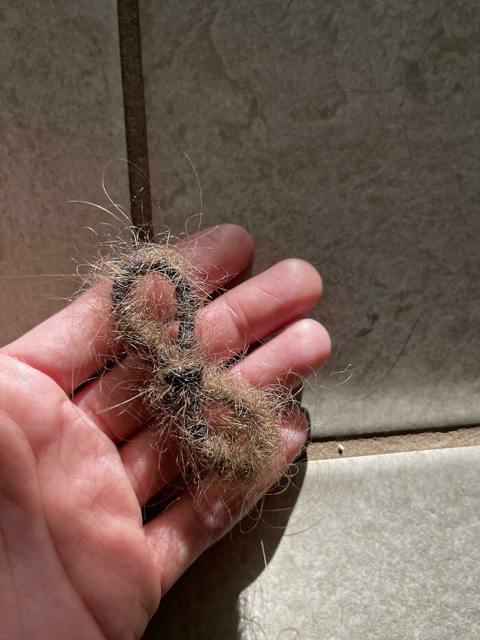 The Mystery Of His Hair Tie Collection