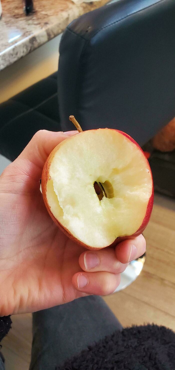 The One Bite He Took Of My Apple... And Left The Rest