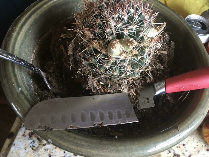 He Used My Favorite Knife As A Garden Tool. Oops.