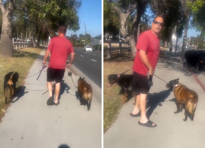 Sidewalk Showdown: Cyclist vs Pedestrian Gets Out of Hand