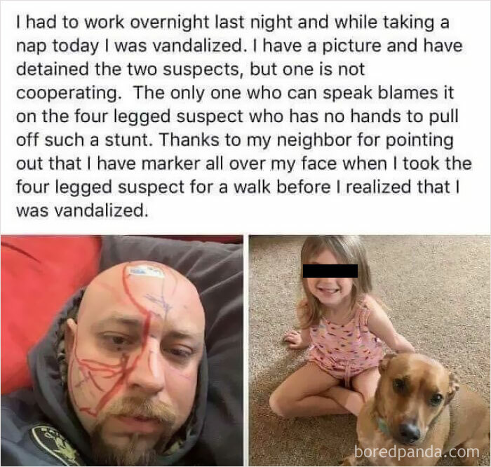 Blame It On The Dog? Nope, It Was The Kid!