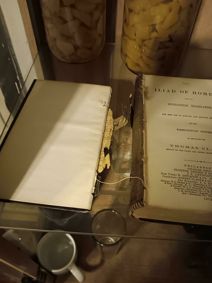 Guests’ 8-Year-Old Turns 1872 Homer’s Iliad Into Modern Art
