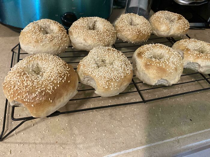 Gift Bagels? Toddler Took a Bite Out of Each Front One