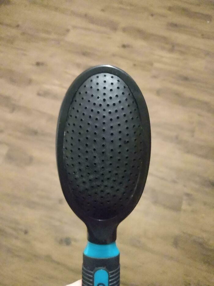 Hair Brush Went Missing... Then We Found It