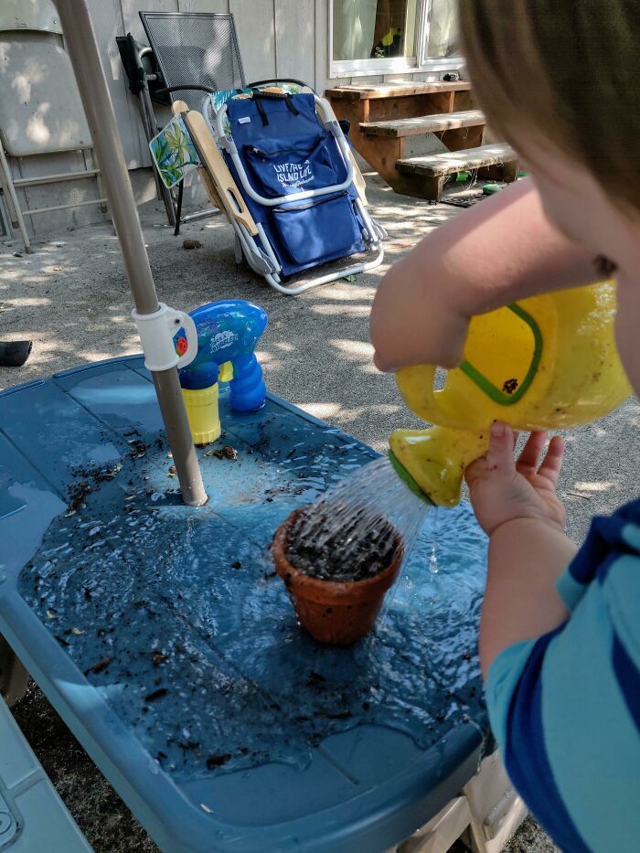 Pot of Dirt? Kid’s New Plant to Water!