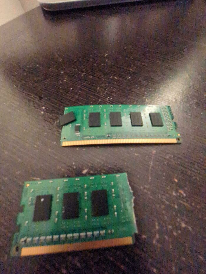 Kids Break My RAM Stick (Of Course They Did)