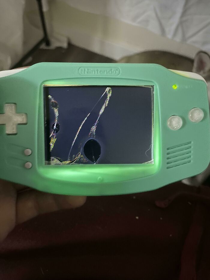 Let Niece Use It For 30 Minutes — Big Oops