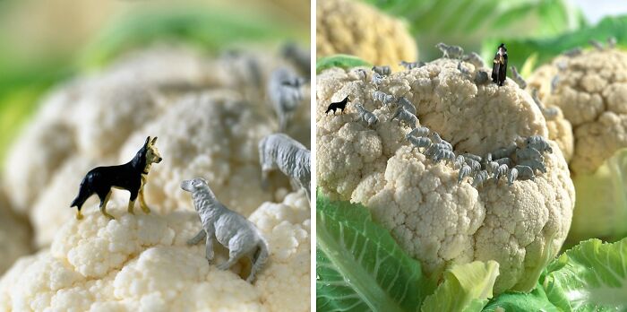 Wait, They Turned Food Into Tiny Worlds?! 30 Mini Adventures That Will Blow Your Mind