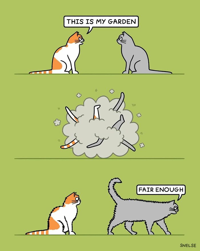 Wait, Cats Really Are The Funniest! 25 Comics That Prove It