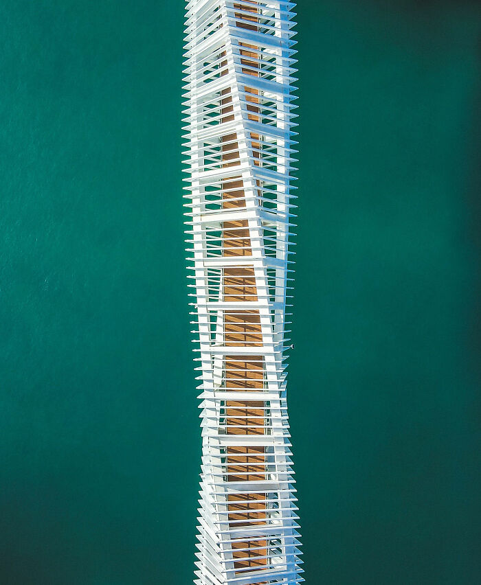 "DNA" By Florian Kriechbaumer (1st Place)