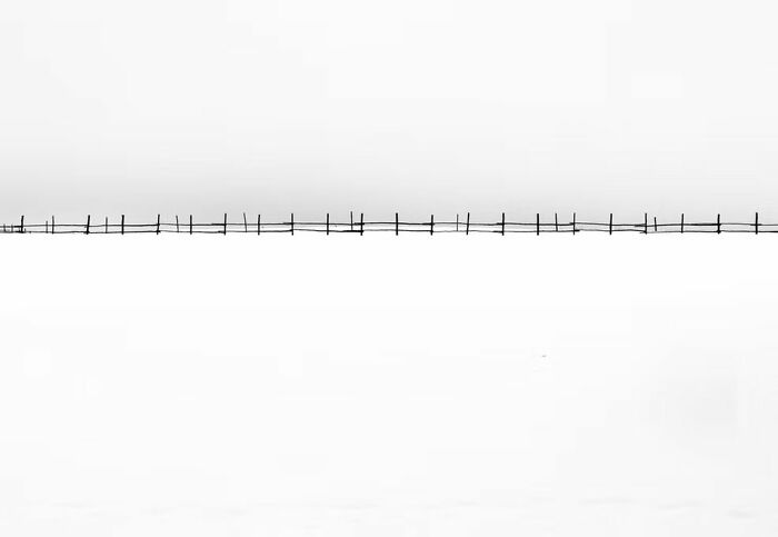 "The Zipper" By Greg Bolger (Honorable Mention)