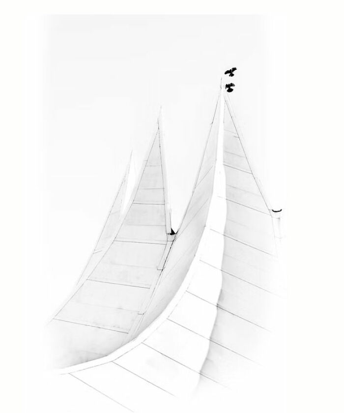 "Two Birds" By Fritz Mehner (Honorable Mention)
