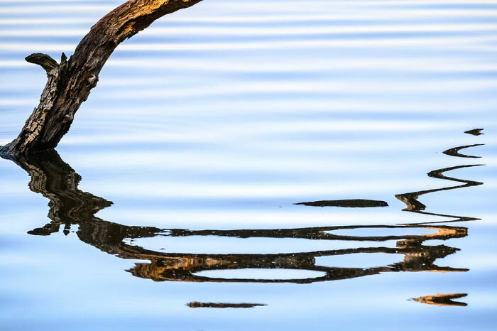 "Flowing Shadow" By Fritz Mehner (Honorable Mention)