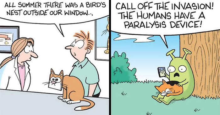 36 Hilarious Cat Comics That Nail All Those Weird Little Things Cats Do