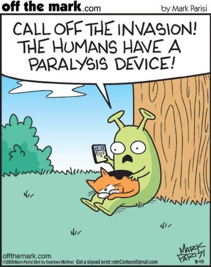 36 Hilarious Cat Comics That Nail All Those Weird Little Things Cats Do