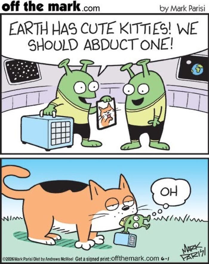 36 Hilarious Cat Comics That Nail All Those Weird Little Things Cats Do