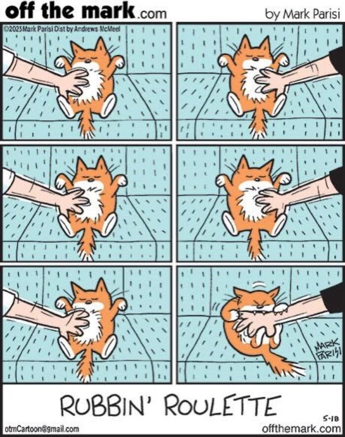 36 Hilarious Cat Comics That Nail All Those Weird Little Things Cats Do