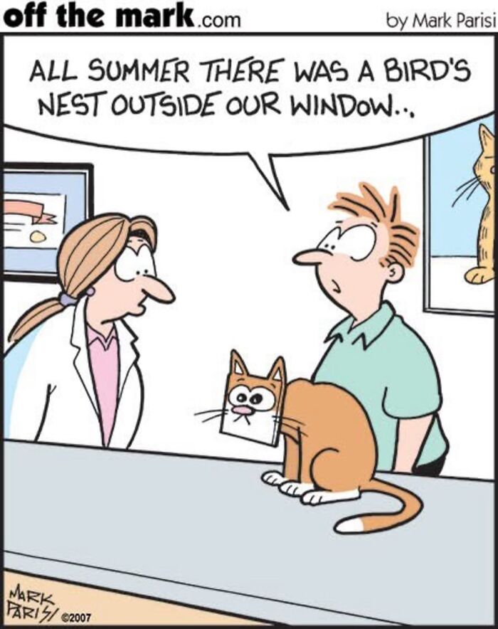36 Hilarious Cat Comics That Nail All Those Weird Little Things Cats Do