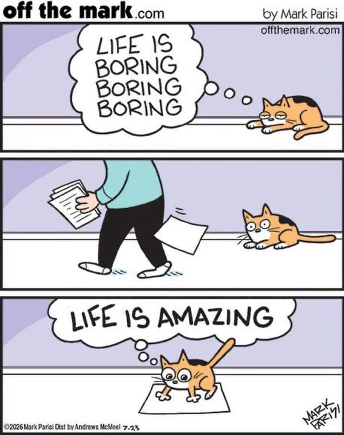 36 Hilarious Cat Comics That Nail All Those Weird Little Things Cats Do