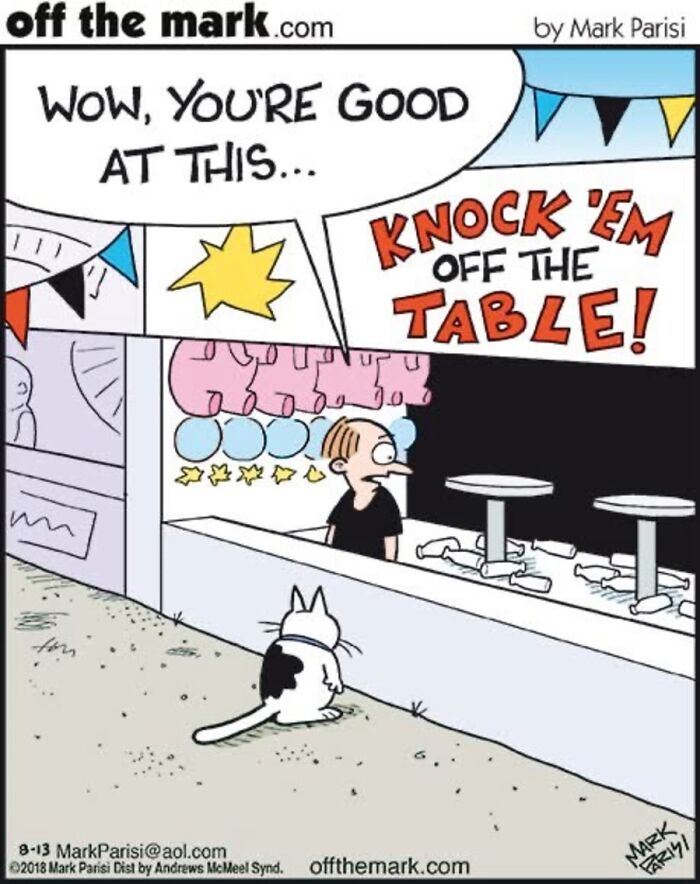 36 Hilarious Cat Comics That Nail All Those Weird Little Things Cats Do