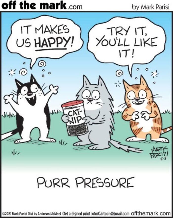 36 Hilarious Cat Comics That Nail All Those Weird Little Things Cats Do