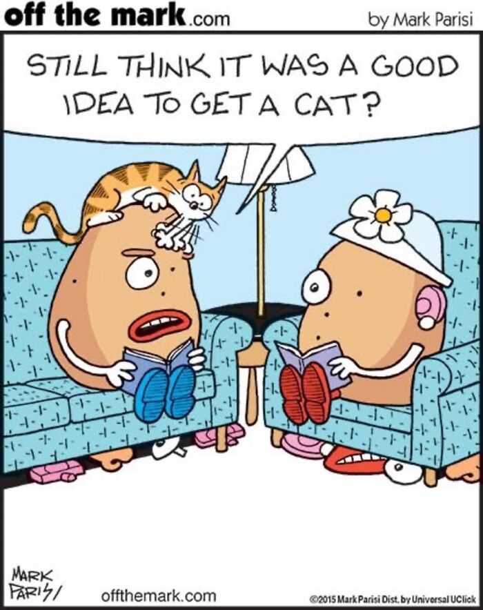 36 Hilarious Cat Comics That Nail All Those Weird Little Things Cats Do