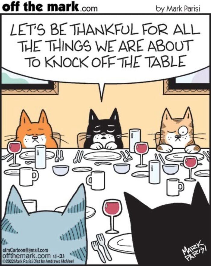 36 Hilarious Cat Comics That Nail All Those Weird Little Things Cats Do