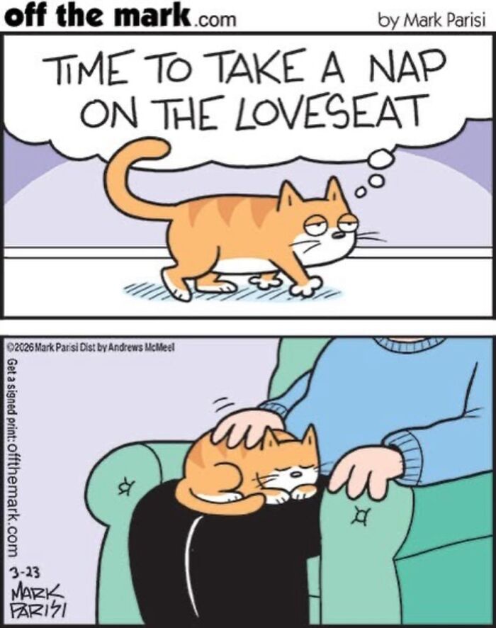 36 Hilarious Cat Comics That Nail All Those Weird Little Things Cats Do