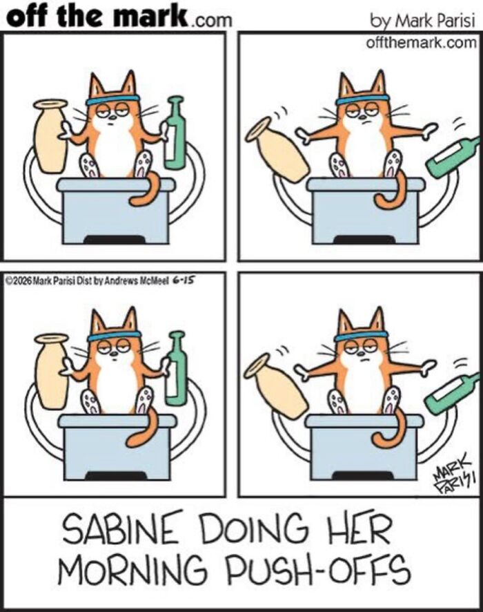 36 Hilarious Cat Comics That Nail All Those Weird Little Things Cats Do