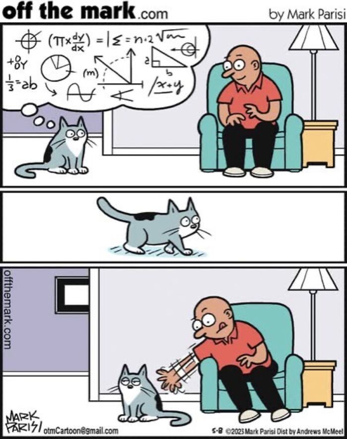 36 Hilarious Cat Comics That Nail All Those Weird Little Things Cats Do
