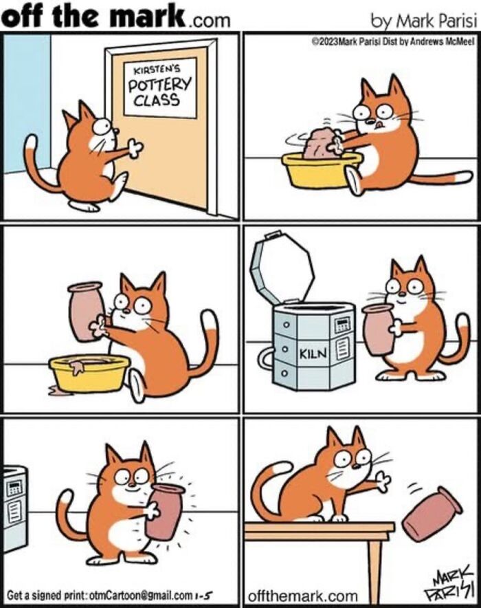 36 Hilarious Cat Comics That Nail All Those Weird Little Things Cats Do