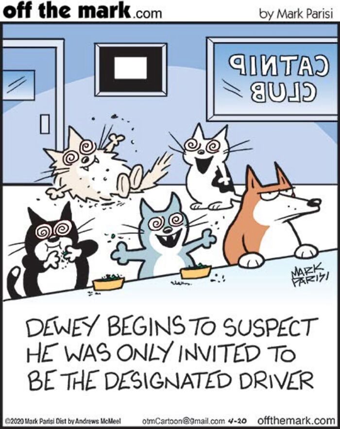 36 Hilarious Cat Comics That Nail All Those Weird Little Things Cats Do