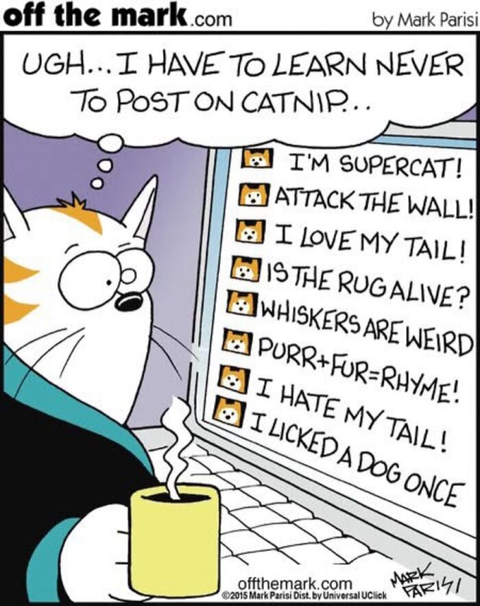 36 Hilarious Cat Comics That Nail All Those Weird Little Things Cats Do