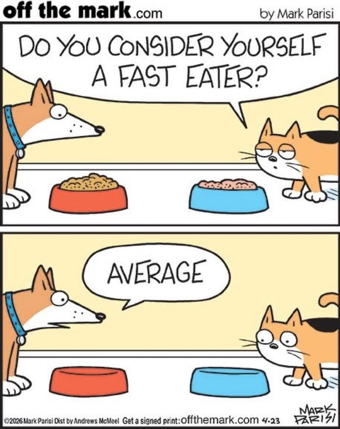 36 Hilarious Cat Comics That Nail All Those Weird Little Things Cats Do